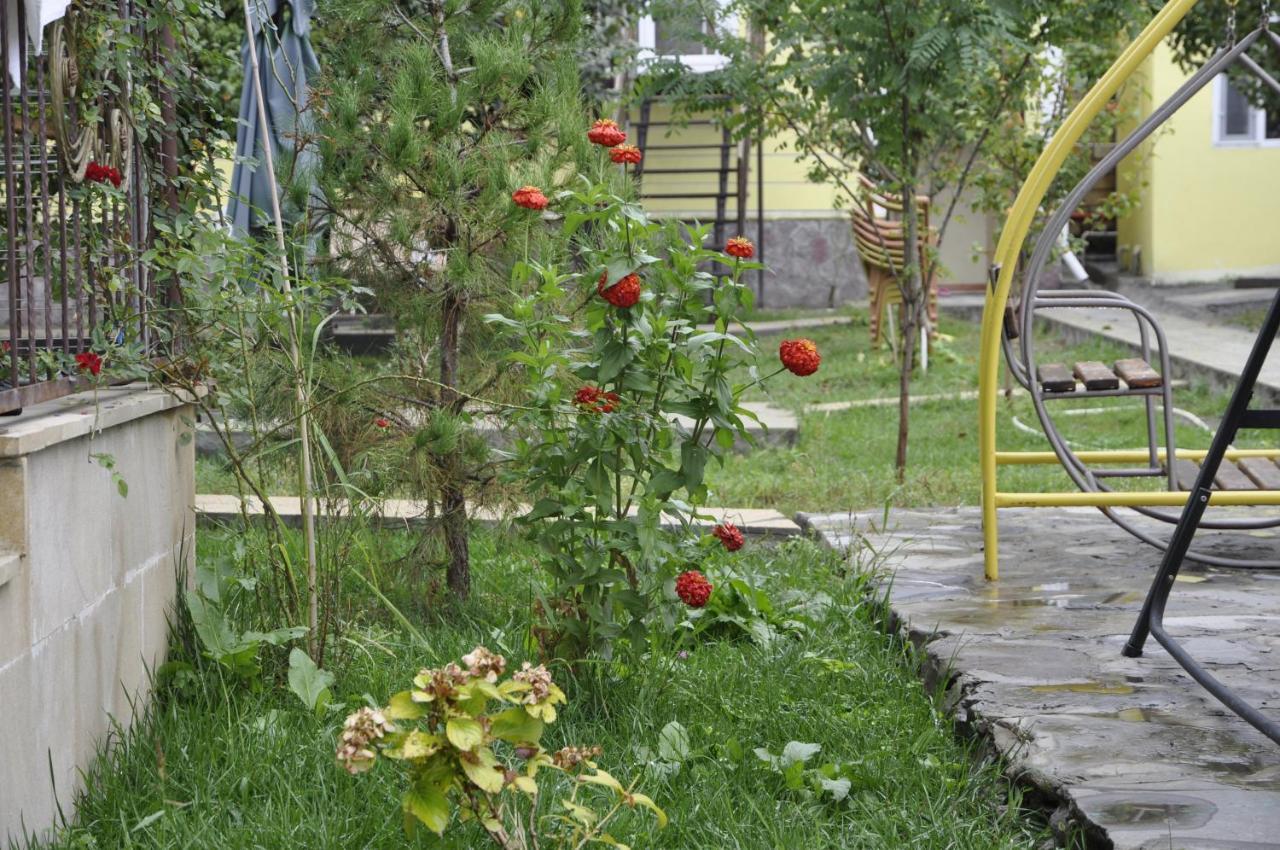 Firuze Apartment Qəbələ
